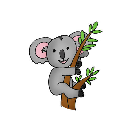 Koala